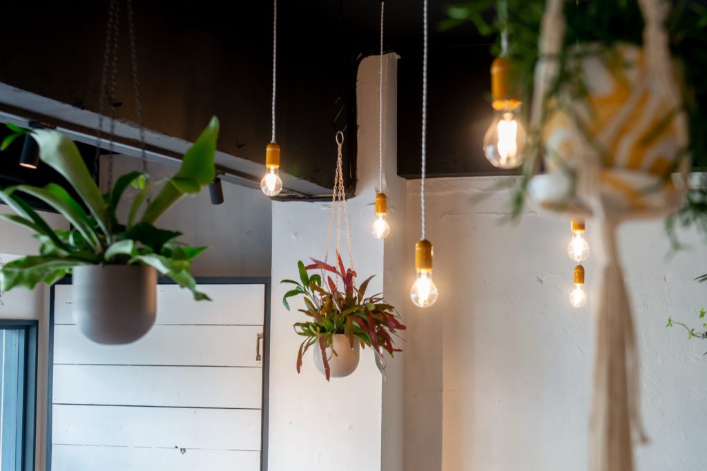 観葉植物を吊るしたインテリアイメージ